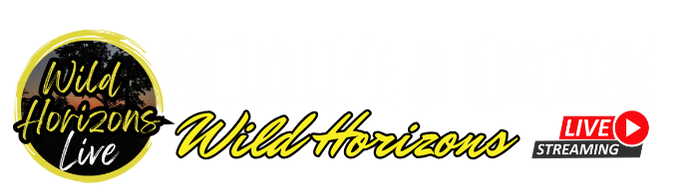 Volcoholics – Quality Live Streaming