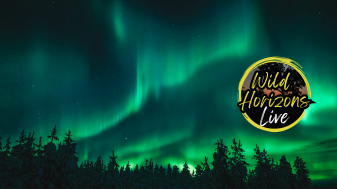 Aurora Watch G4 (Severe) geomagnetic storm 12.11.25 (1)